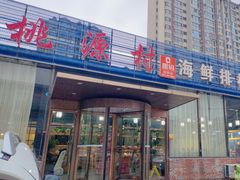 -桃源村铁锅炖鱼(体育馆道店)