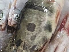 -庆岭迎宾园正宗活鱼馆