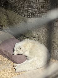 -酷嗒动物文化乐园(cutezoo西溪乐天城店)