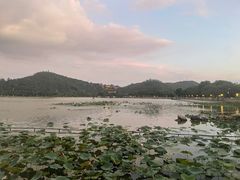-顺峰山公园