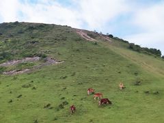 -大姆山草场