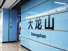 -大龙山(地铁站)