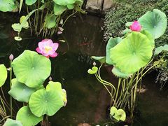 -青州古城