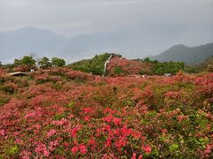 -瑞安圣井山景区