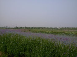 IMG_20140607_144713-维纳斯婚纱摄影(淮海中路店)