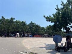 -日照海滨国家森林公园