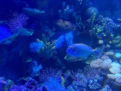 -欢乐海岸海洋奇梦馆