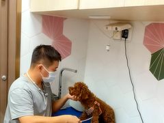 -瑞鹏宠物医院·普外科·影像科·皮肤科(城市山谷分院)