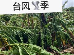 -石螺口海滩
