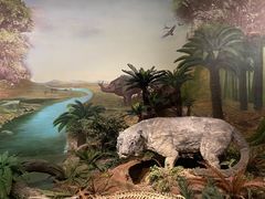 -湖南省地质博物馆