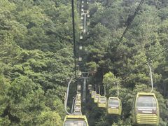 -黔灵山公园