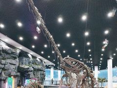 -吉林省自然博物馆