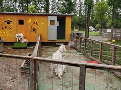 -前小桔亲子创意农场·草莓采摘·露营烧烤