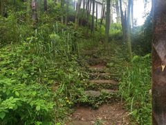 -莫干山风景区