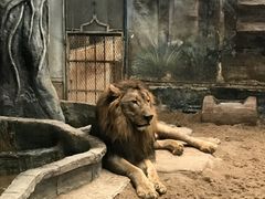 -清迈夜间动物园