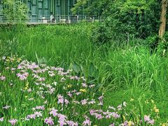 -西湖风景区-江洋畈生态公园