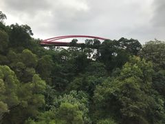 -金鸡山公园