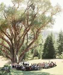 -忆江南婚礼策划(姑苏店)