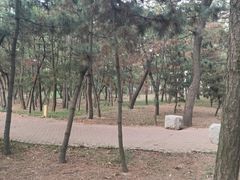 -山东大学(威海校区)