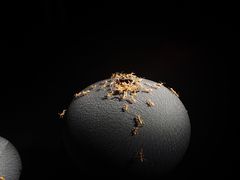 -深圳珠宝博物馆