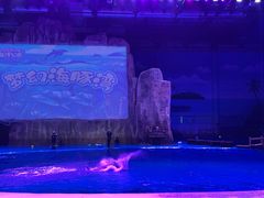 -华夏文旅海洋公园