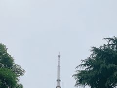 -龟山风景区-龟山电视塔