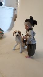 -咔咔儿童摄影馆