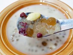 五加-糖潮糖水铺(省府店)