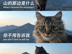 -贝利宠物医院·骨科·眼科·肿瘤转诊中心(南坪诊疗中心)