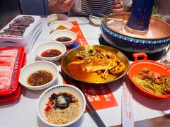 -董记老清泉·鲜切涮羊肉(窑岭店)