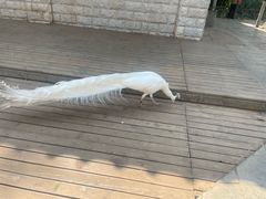 -昆明动物园