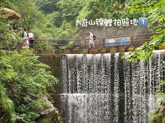 -大奇山国家森林公园