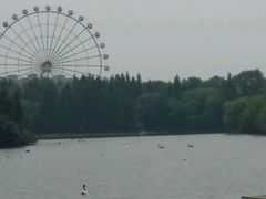 picture-上海浦东康桥绿地假日酒店