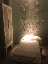 -奈瑞儿美颜美养SPA