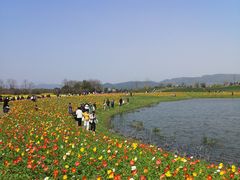 -径山花海