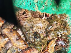 -六七八韩式烤肉·韩国料理(上杭路店)