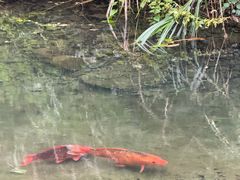 -夏霖九天银瀑风景区
