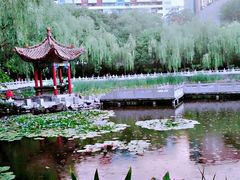 -文瀛公园