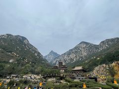 -禅宗少林·音乐大典