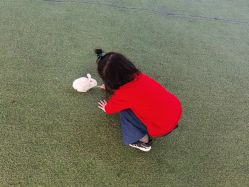 -萌宠亲子动物乐园(槐房万达店)