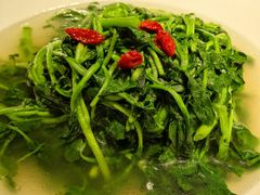 -张家卫·阳江菜·小海鲜(肥婆湾桥店)