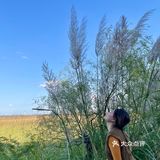 炮台湾公园 值得一去的沿江栈道