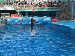 -海合安成都极地海洋公园