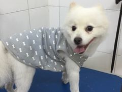 艾咪宠物店-艾咪宠物店(长宁支路店)