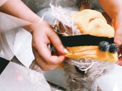 -Oh My Dog宠物沙龙(伊珊娜皮毛护理店)