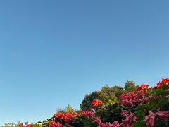 -华南国家植物园-售票处