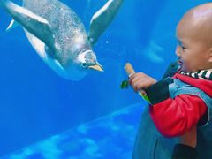 -华夏文旅海洋公园