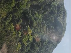 -陕西省红河谷森林公园