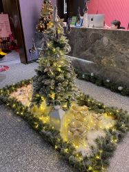 -花隐·美芙炫海菲秀皮肤管理中心