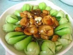 -大班家政月嫂育儿嫂(深圳NO.1店)